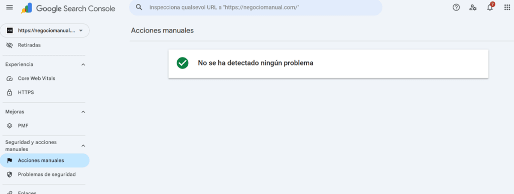 Informe de Acciones manuales en Google Search Console mostrando No se ha detectado ningún problema